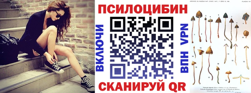 Купить где  Родники  Псилоцибиновые грибы Psilocybe 